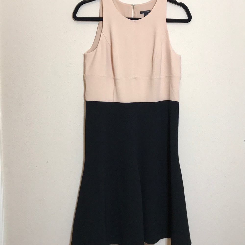 Ann Taylor Tan & Black Colorblock Crepe Dress Sz 4